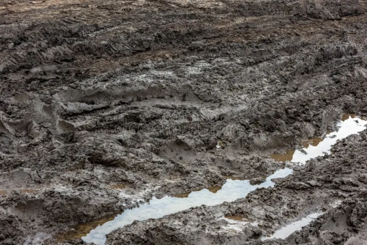 Los caminos rurales, en el ojo de la legislatura: un desastre que necesita ser una emergencia