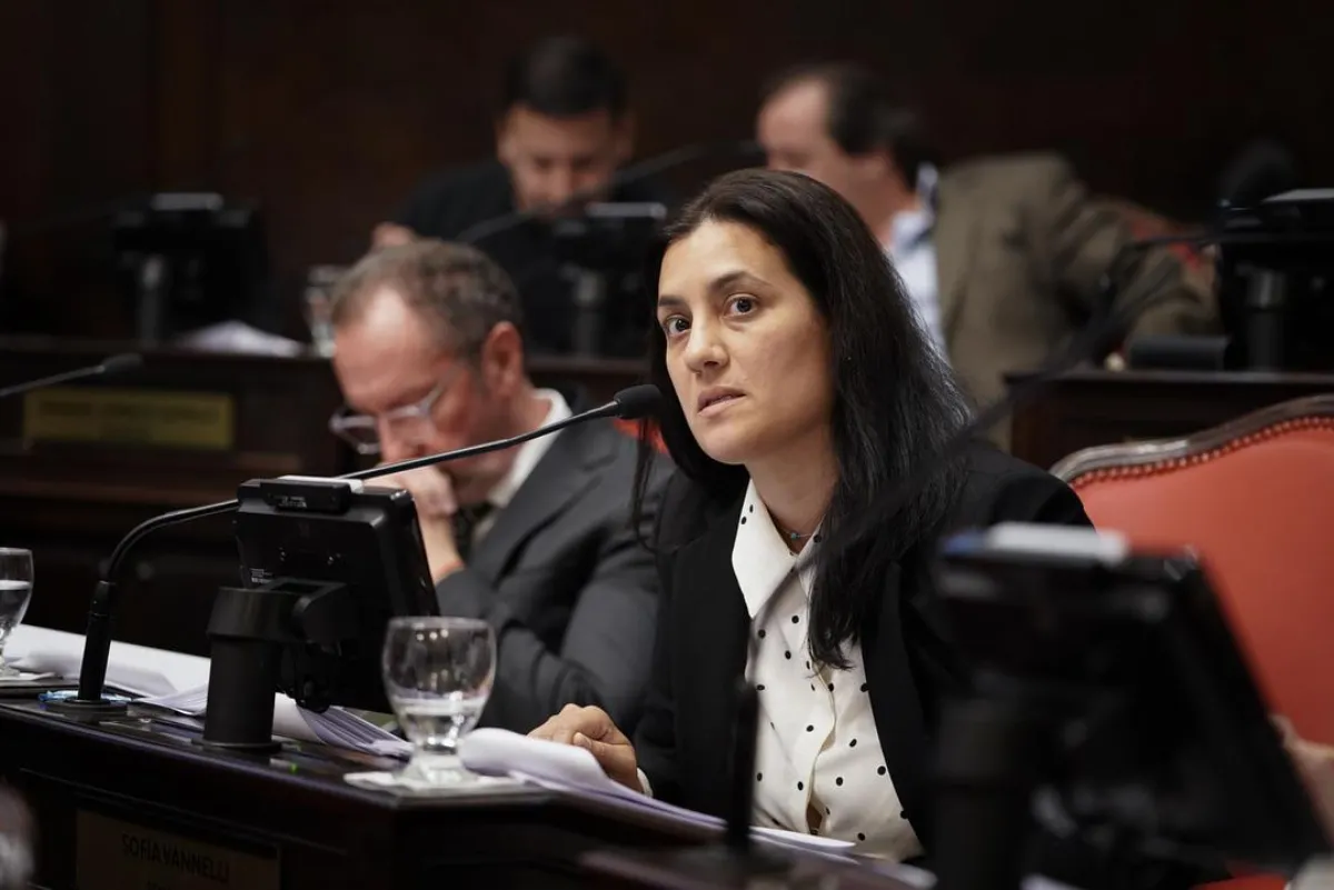 Sofía Vannelli: “En las próximas elecciones es Milei o nuestra patria”