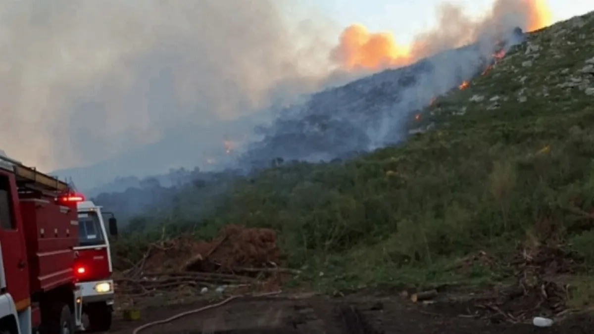 Intendente UCR fue a la Justicia para esclarecer el origen de incendios en su distrito