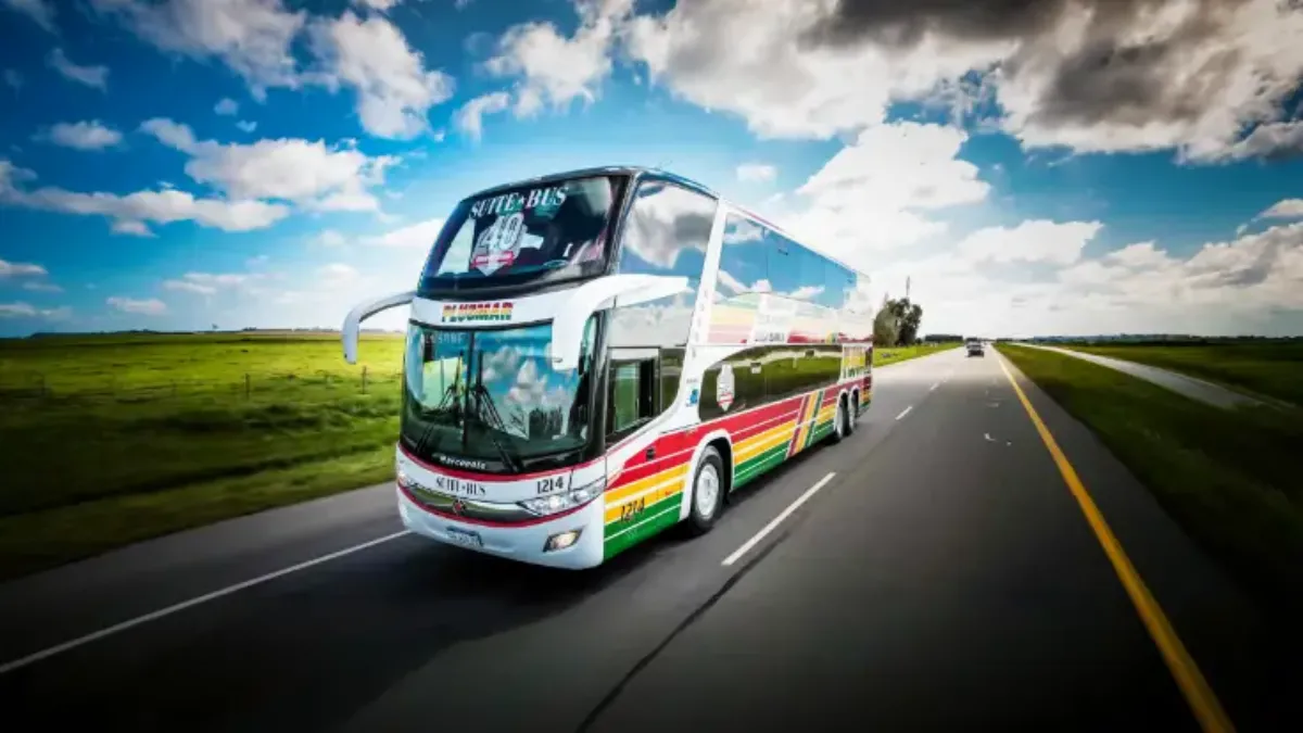 Chau chau adiós: Plusmar reemplaza a TALP en el histórico servicio a La Plata