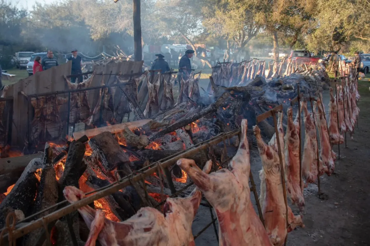 Hongos y cordero: dos fiestas que celebran y cuentan historias en la Provincia