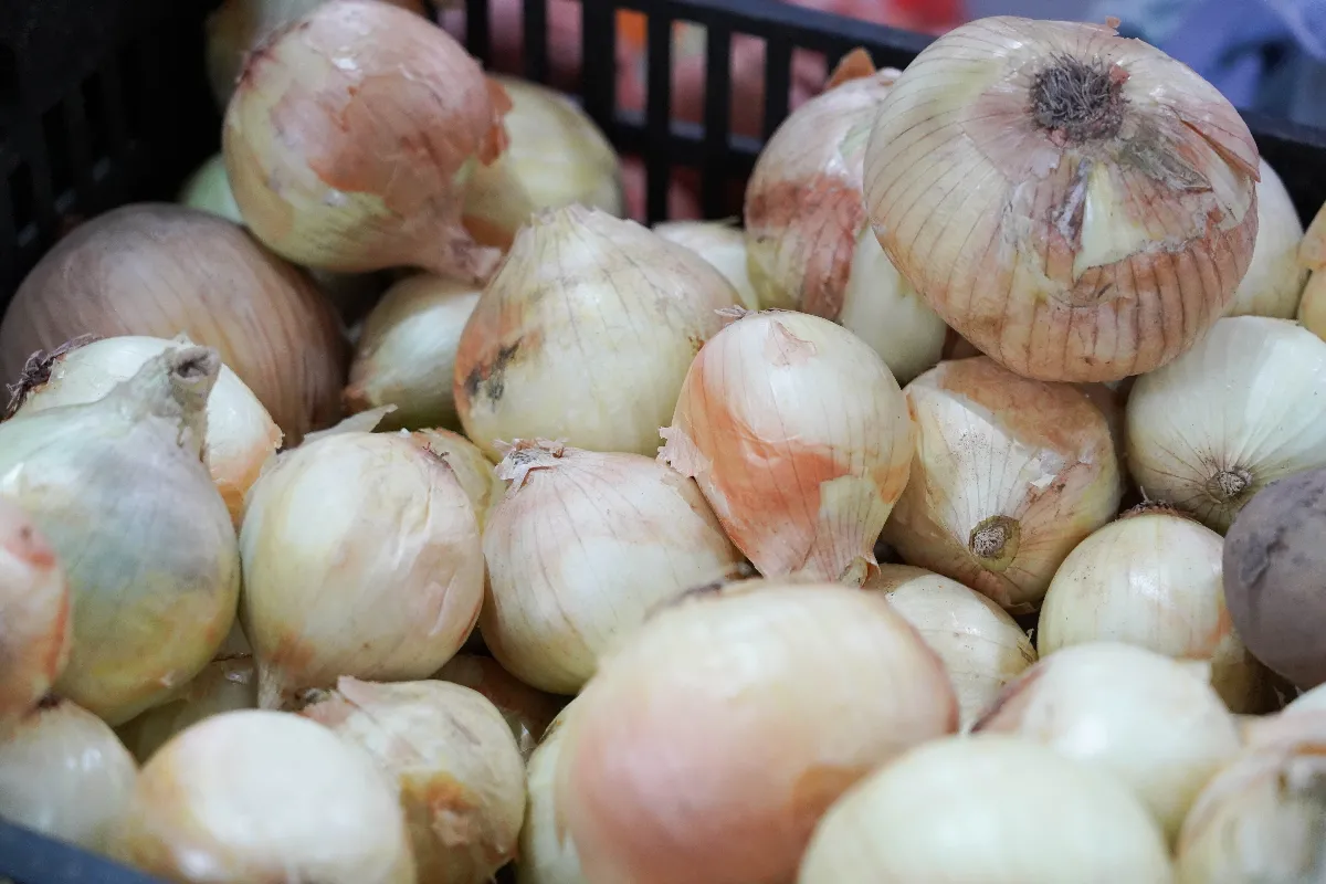 Ahorro en alimentos y más rubros: el Mercado Bonaerense La Plata lanzó nuevas promociones