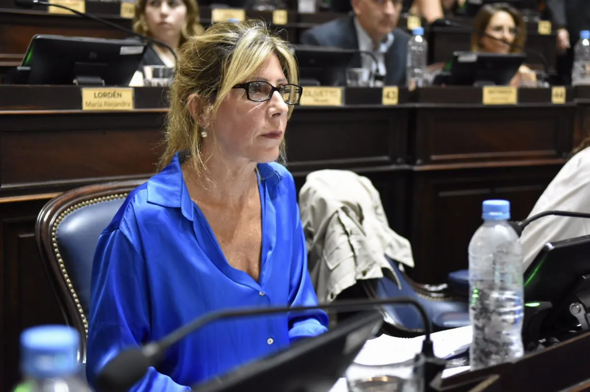 Diputada expresó su preocupación por la paralización de obras en la Ruta 5