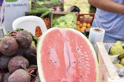 Más ofertas y beneficios para las familias en el Mercado Bonaerense Fijo de La Plata