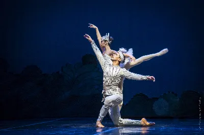 El Ballet Estable del Teatro Argentino interpretará la versión integral de “La Bayadera”